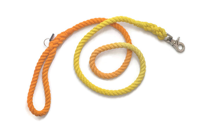 Rope Dog Leash - 4 ft Orange and Yellow