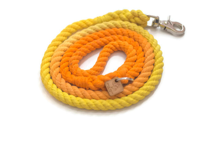 Rope Dog Leash - 5 ft Orange and Yellow