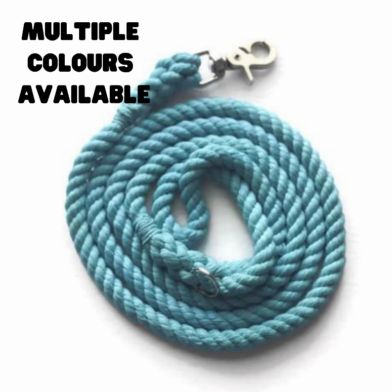 Single Color Rope Dog Leash - 4 ft Blue