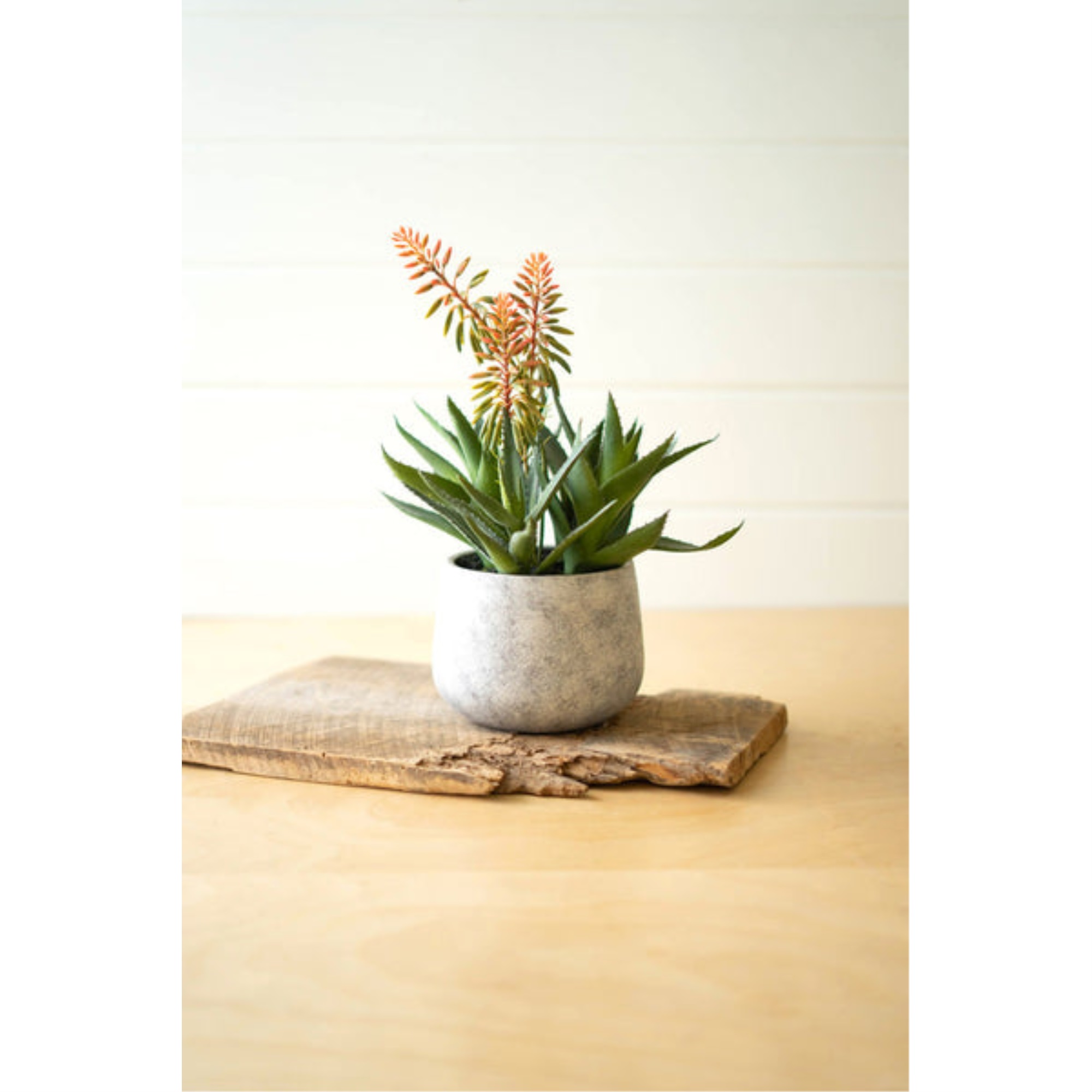 Artificial Aloe And Flowers In A Resin Pot