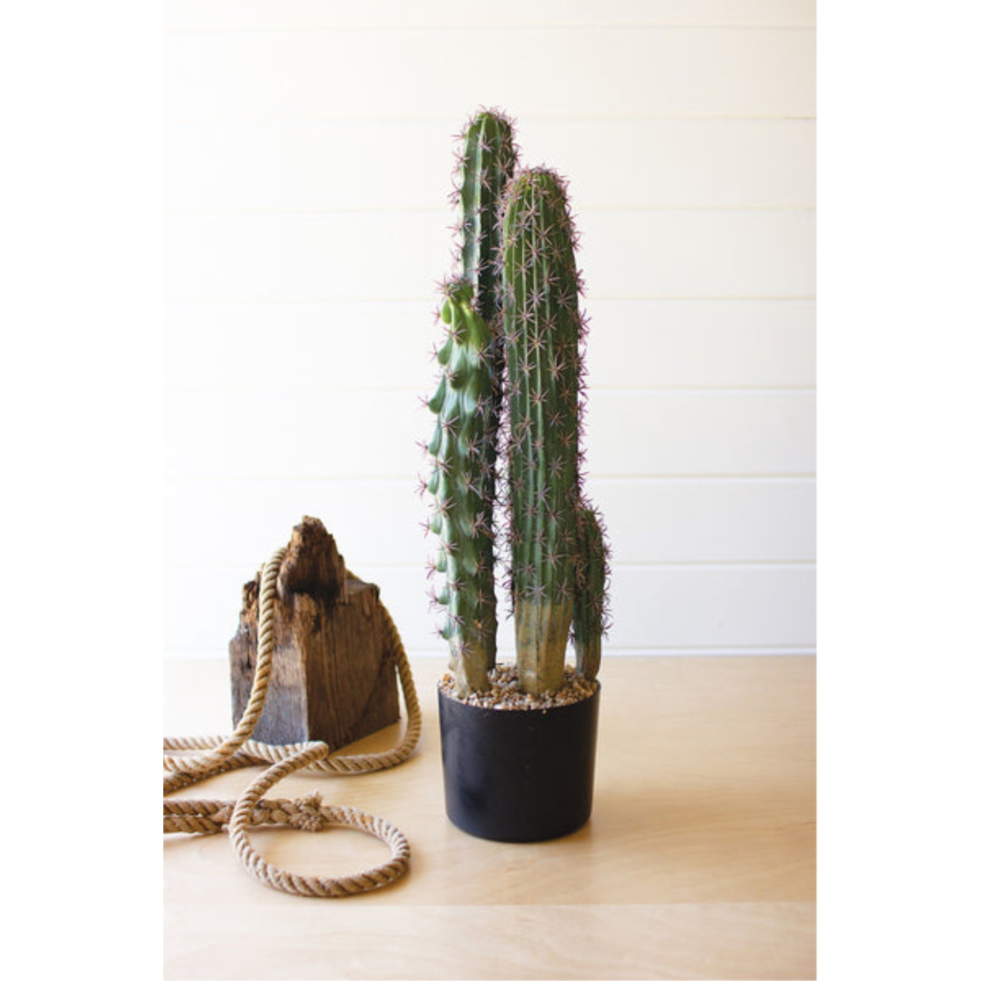 Artificial Cactus In A Black Plastic Pot With Five Stems