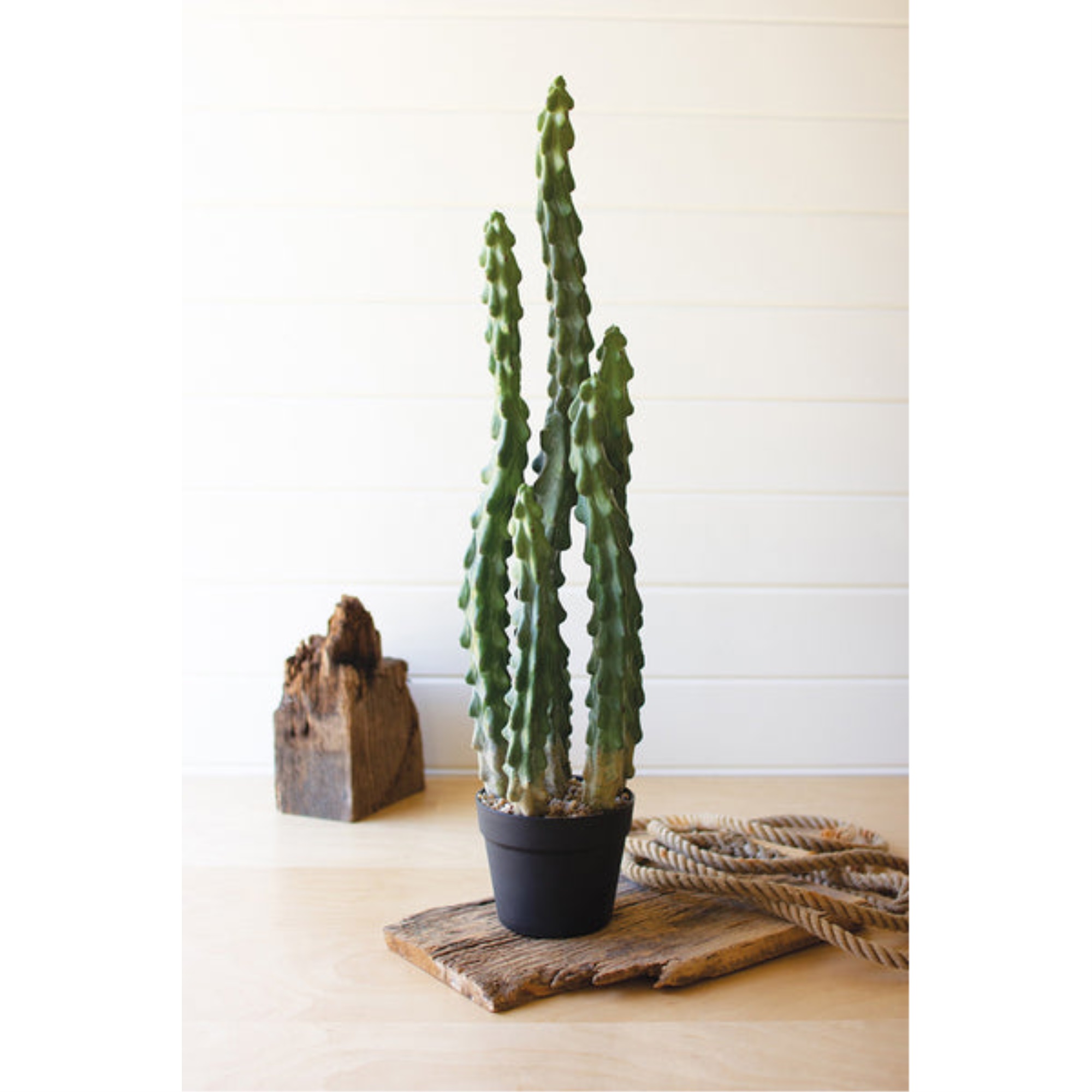 Artificial Cactus In A Black Plastic Pot With Six Stems