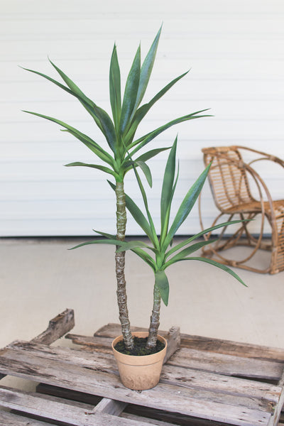 Artificial Heneken Plant With Faux Terracotta Pot