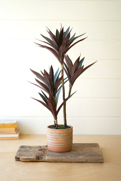 Artificial Yucca Plant With Cement Pot