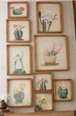 Set Of 9 Cactus Flower Prints Under Glass Largest 14" X 15.75"T  Smallest 8" X 8"T