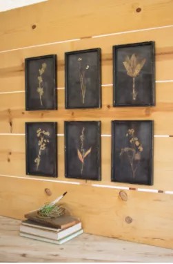 Set Of Six Botanical Prints Under Glass