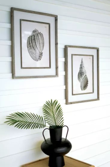 Set Of Two Framed Black And White Shell Prints Under Glass