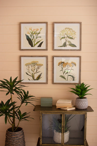 Set Of Four Framed Flower Prints Under Glass