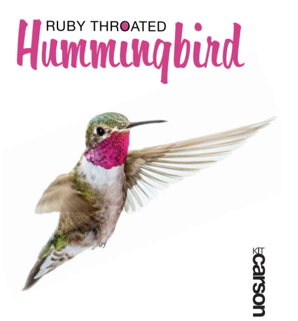 Ruby Throated Hummingbird Swedish Dishcloths