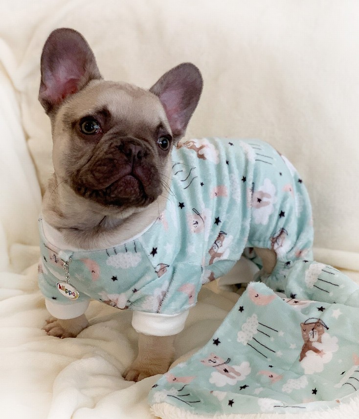 Ultra Soft Plush Minky Bedtime Bears Pajamas - XS Green