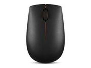 300 Wireless Mouse-NA
