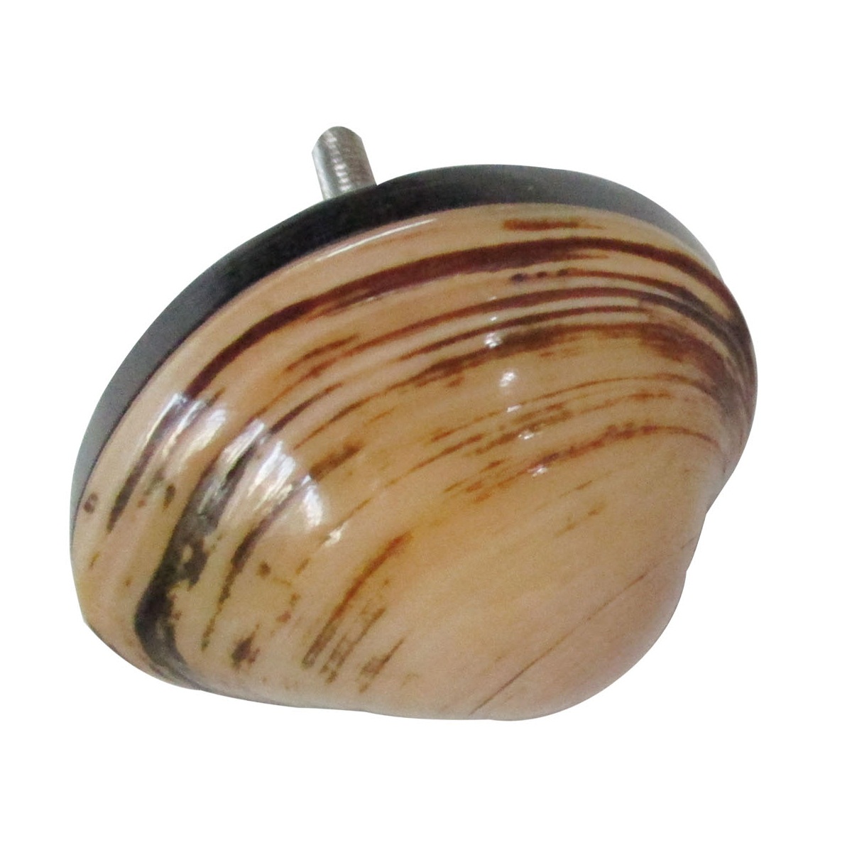Shell 1-3/4 in. (45mm) Antique Peach Cabinet Knob