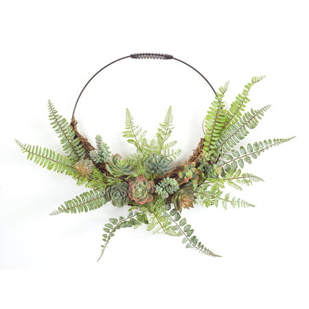 Fern and Succulent Wall DTcor 24.5" x 19.25"H Plastic/Wire
