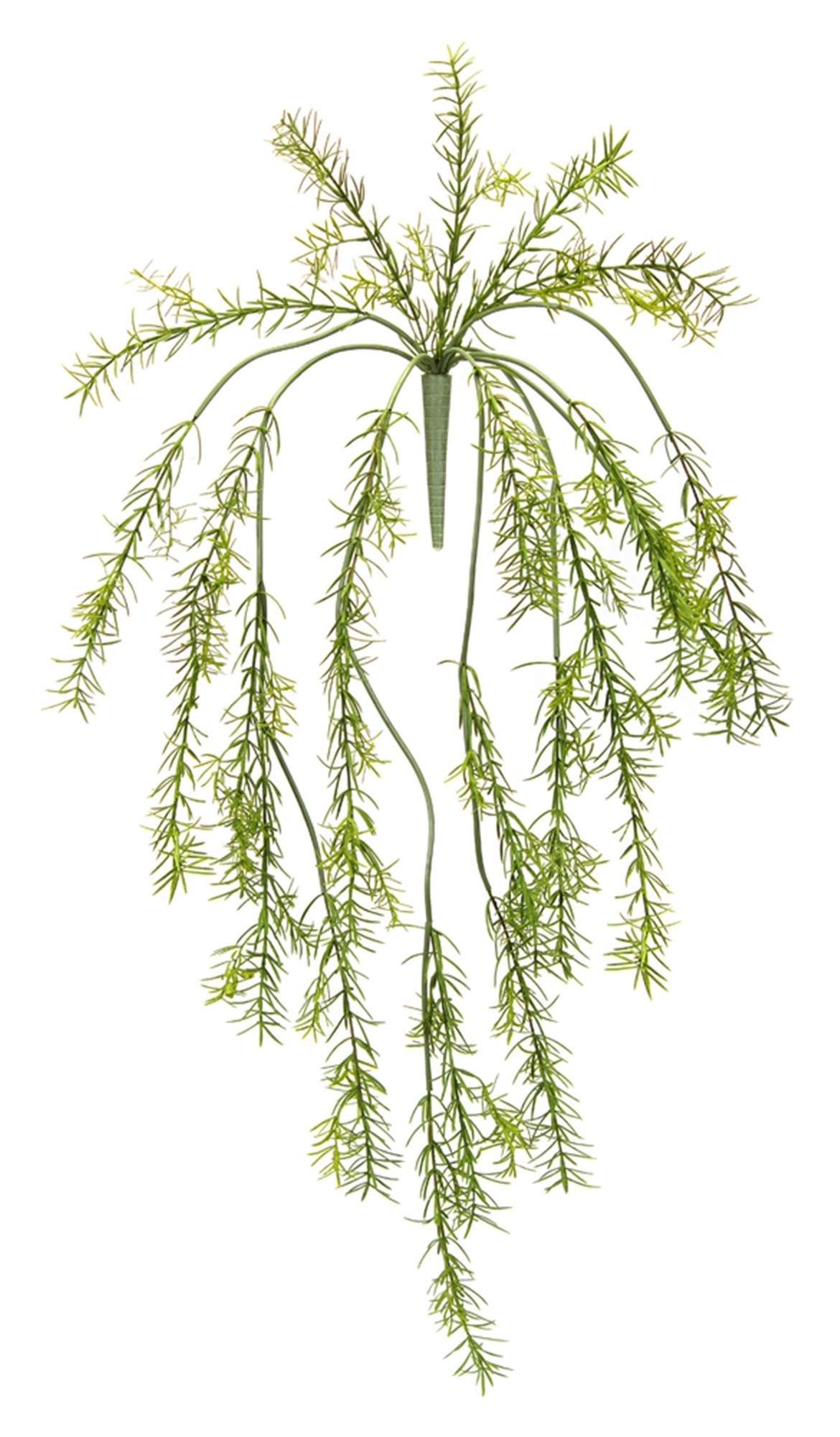 Asparagus Fern Vine (Set of 6) 33"L Plastic