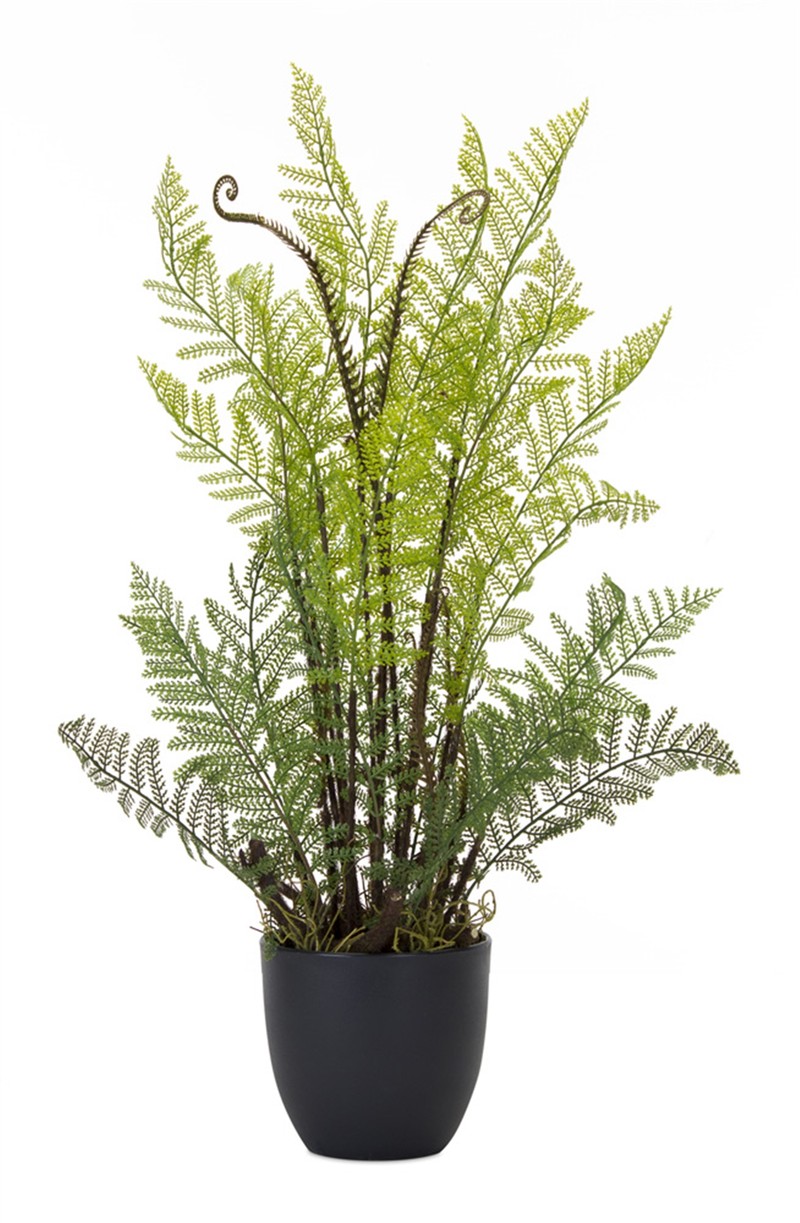 Fern Potted (Set of 2) 13" x 24.5"H Plastic
