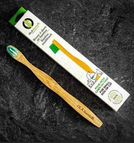 Bamboo Toothbrush for Pet - (Pack of 6)