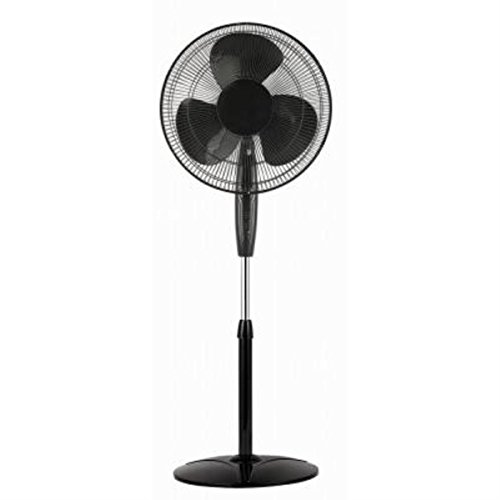 Fan 18 Inch Oscillating Stand Remote