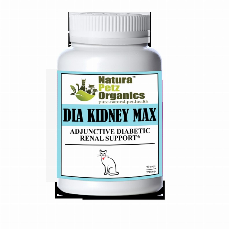 Dia Kidney Max Capsules* Adjunctive Diabetic Renal Support* Dogs And Cats