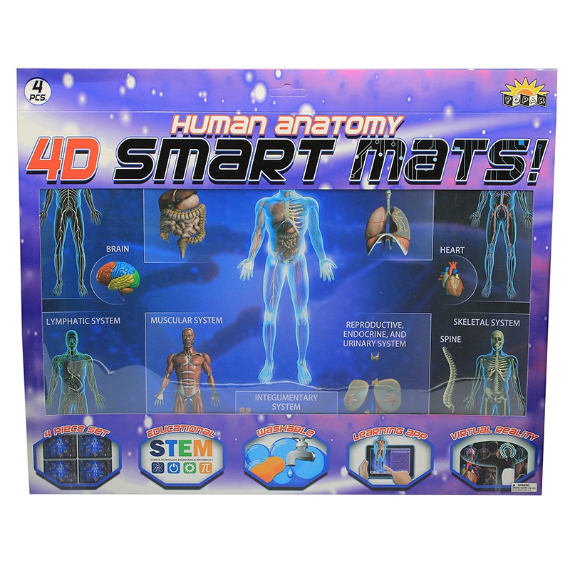 Human Anatomy Smart Mats, Set of 4