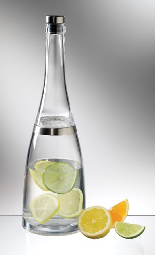 Prodyne FB32 Fruit Infusion Bottle Cocktail Shaker Spirit