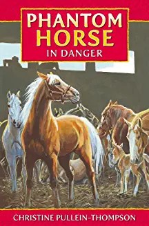 Phantom Horse, IN DANGER: from Chris Pullein-Thompson's six-book series (Age 8+)