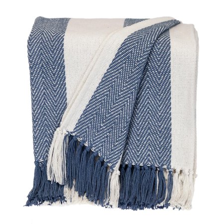 Parkland Collection Transitional Stripe Rectangle Throw - 60" x 50" Blue