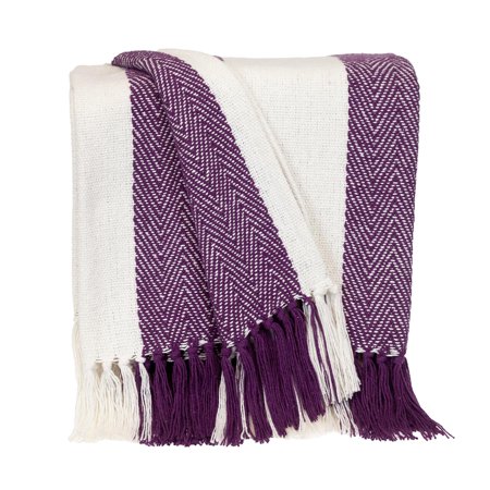 Parkland Collection Transitional Stripe Rectangle Throw - 60" x 50" Purple