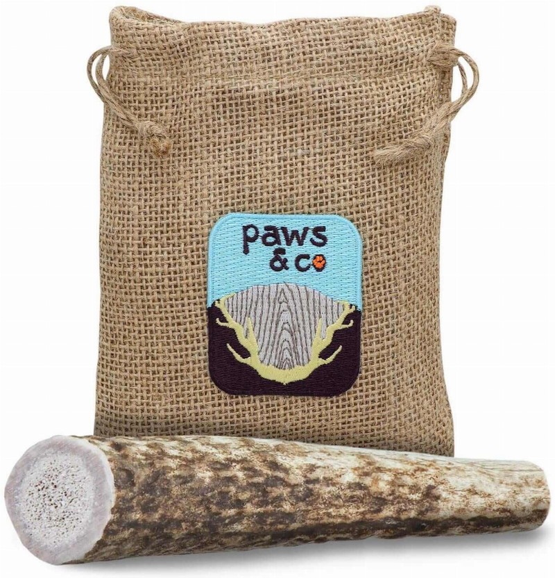 Whole Antler Chew - Small