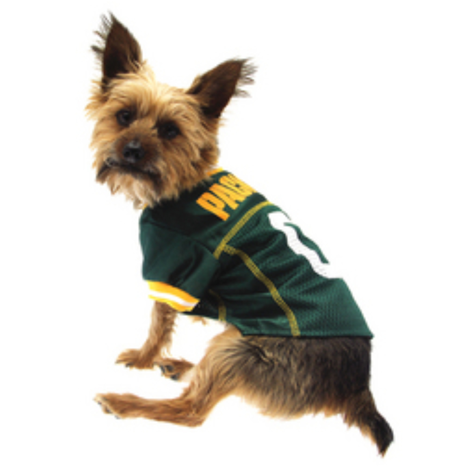 Green Bay Packers Dog Jersey - Yellow Trim