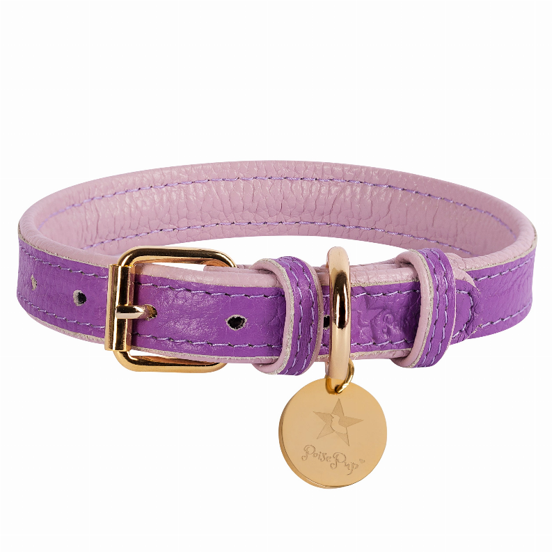 Dog Collar - Large Lavish Lavender