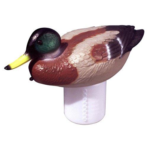 CloriRubber Duck, Mallard Pool