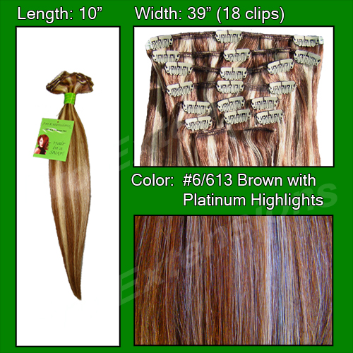 #6/613 Chestnut Brown with Platinum Highlights - 10 inch