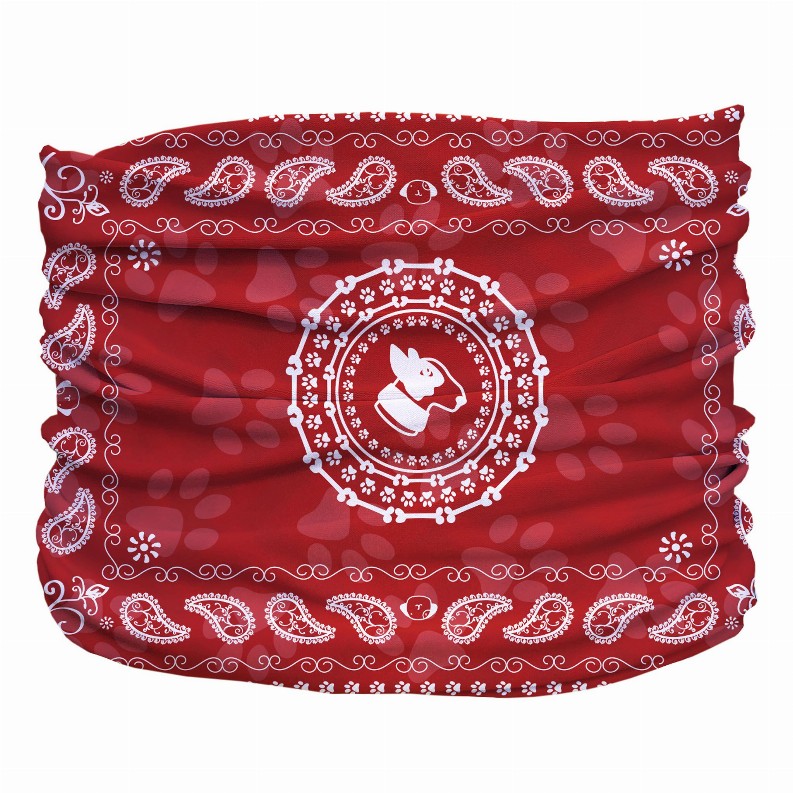 Bandana Pup Scruff - XS Red