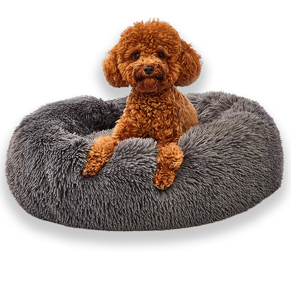 Donut Dog Bed Small Black and Grey