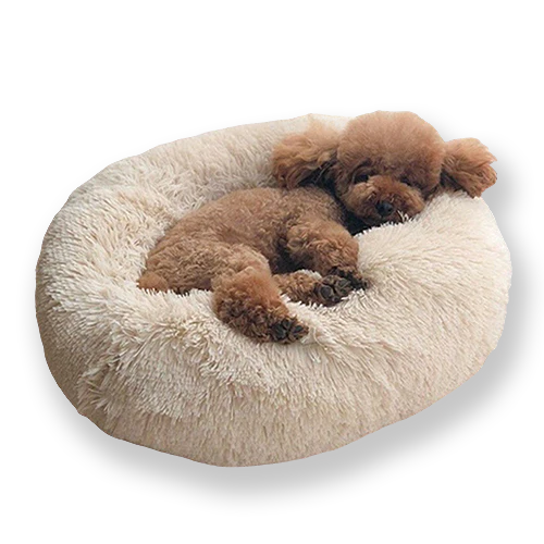 Donut Dog Bed Large Beige