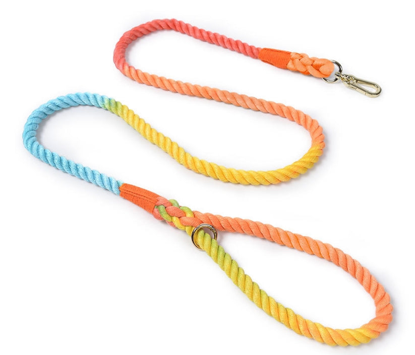 Rope Leash by Puppy Community