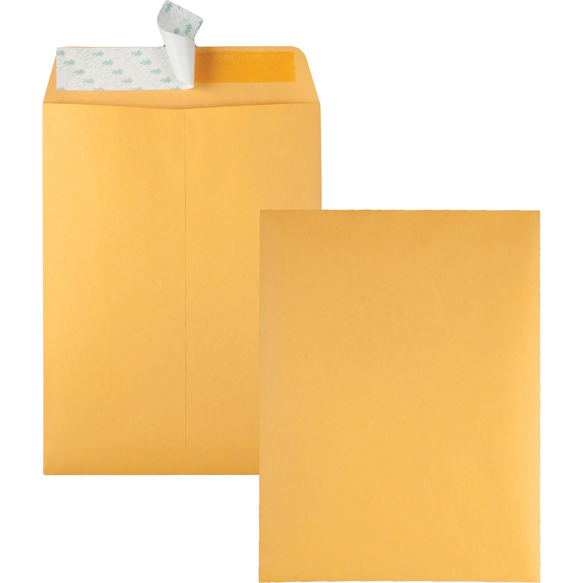 Quality Park Redi-Strip Kraft Catalog Envelopes - Catalog - #10 1/2 - 9" Width x 12" Length - 28 lb - Self-sealing - Kraft - 100