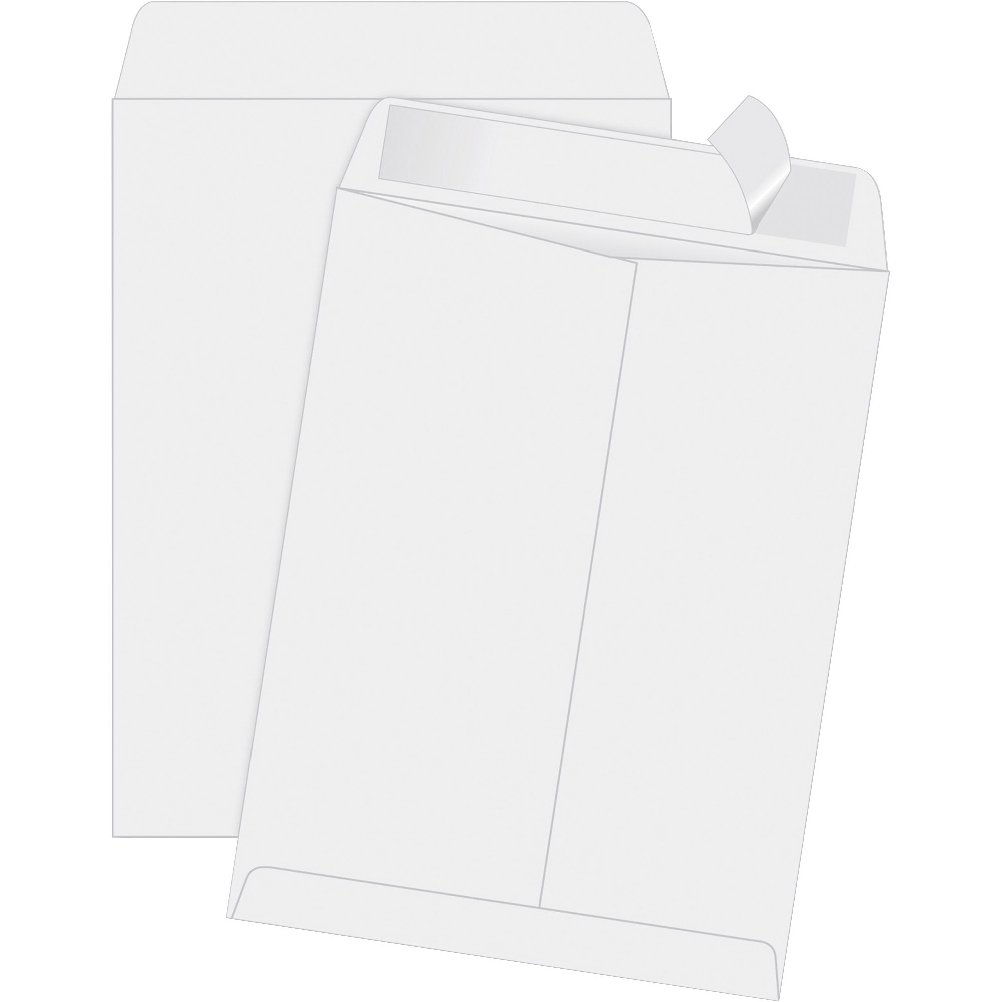 Quality Park Redi-Strip Catalog Envelopes - Catalog - 11 1/2" Width x 14 1/2" Length - 28 lb - Peel & Seal - Wove - 100 / Box - 