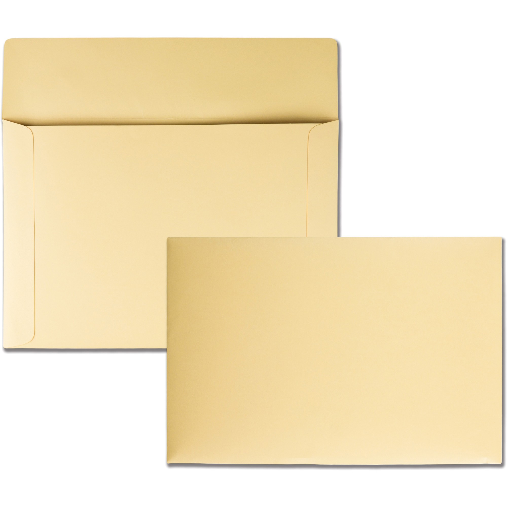 Quality Park Flat File Envelopes - Catalog - 10" Width x 14 3/4" Length - 40 lb - 100 / Box - Cameo