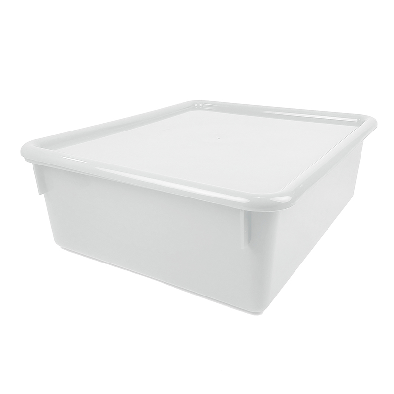 Double Stowaway Tray with Lid, Clear