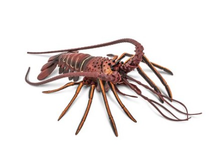 Spiny Lobster Figurine