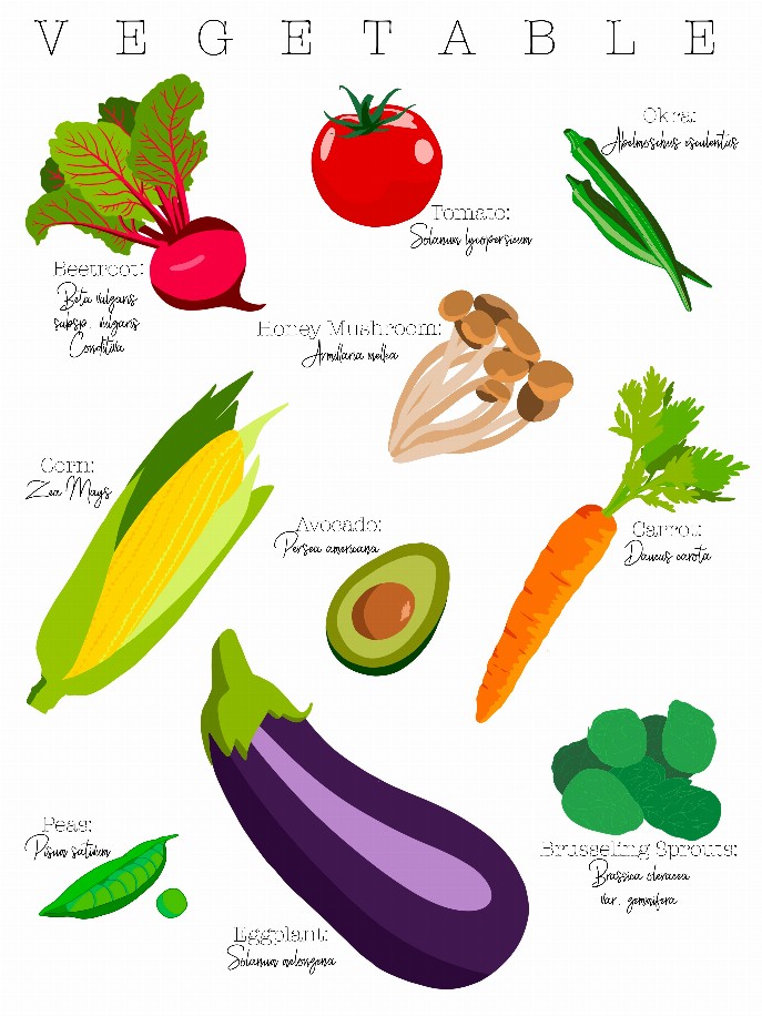 Vegetable Poster