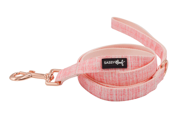 Leash - One SizePink Dolce Rose