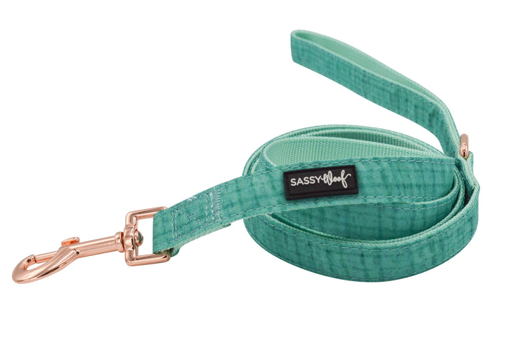 Leash - One SizeTeal Wag your Teal