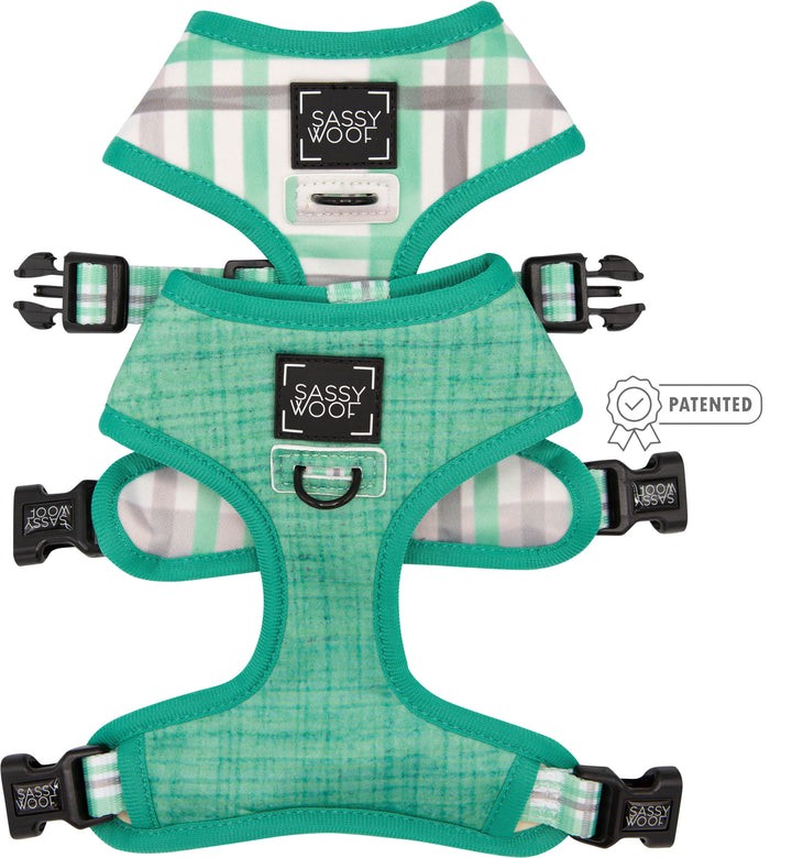 Reversible Harness - XS Teal
