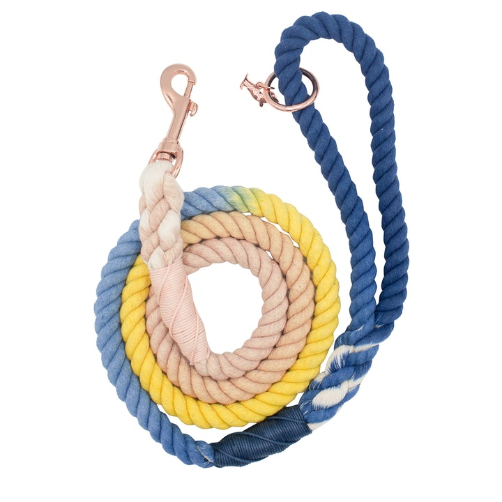 Rope Leash  5 Feet Multi  airy