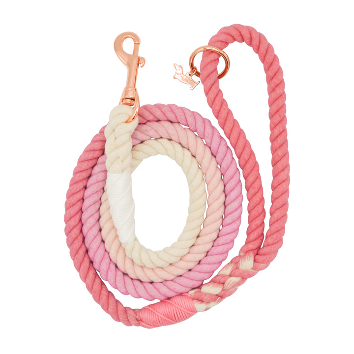 Rope Leash  5 Feet Multi  rosie