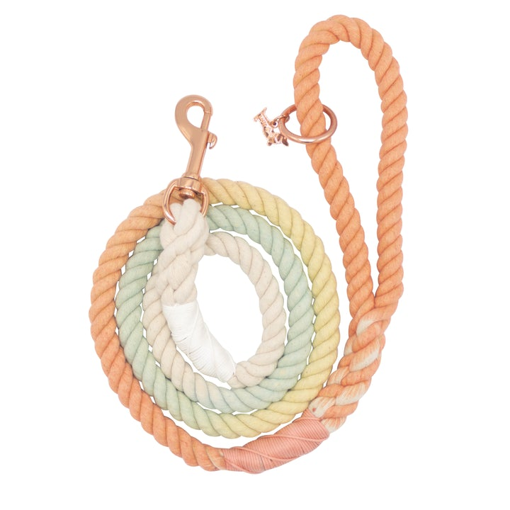 Rope Leash  5 Feet Multi  honeydew