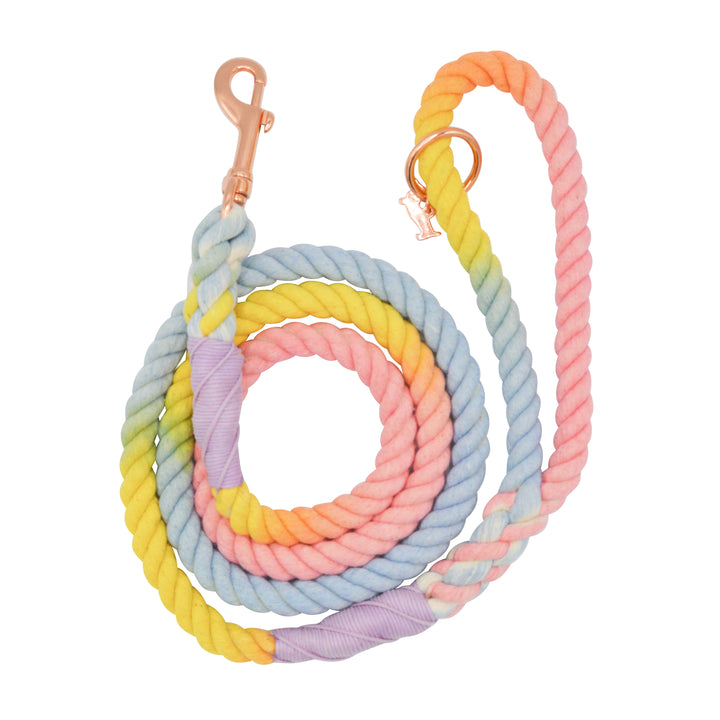 Rope Leash  5 Feet Multi  fiesta