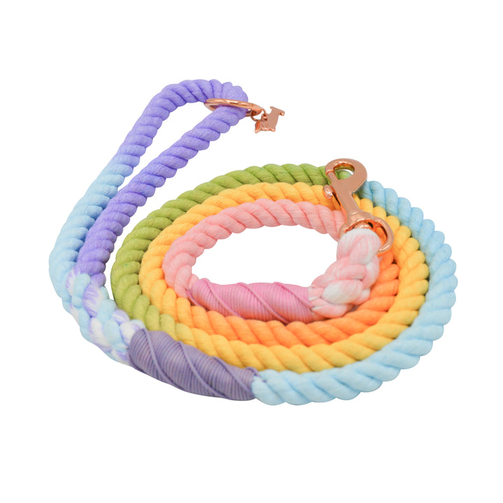 Rope Leash  5 Feet Multi  pinata